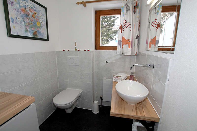 Toilet and washbasin in the house Alice in Tyrol